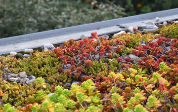 the cost of Baldinnie green roof installation