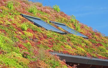 Baldinnie living roof systems