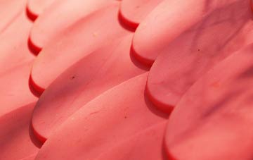 Baldinnie plastic roof costs