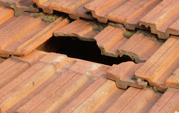 roof repair Baldinnie, Fife