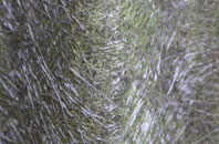 Baldinnie fibreglass roof work